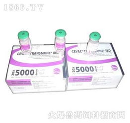 鄭州翰威畜牧科技 獸藥飼料火爆招商，賦能現(xiàn)代畜牧漁業(yè)新篇章